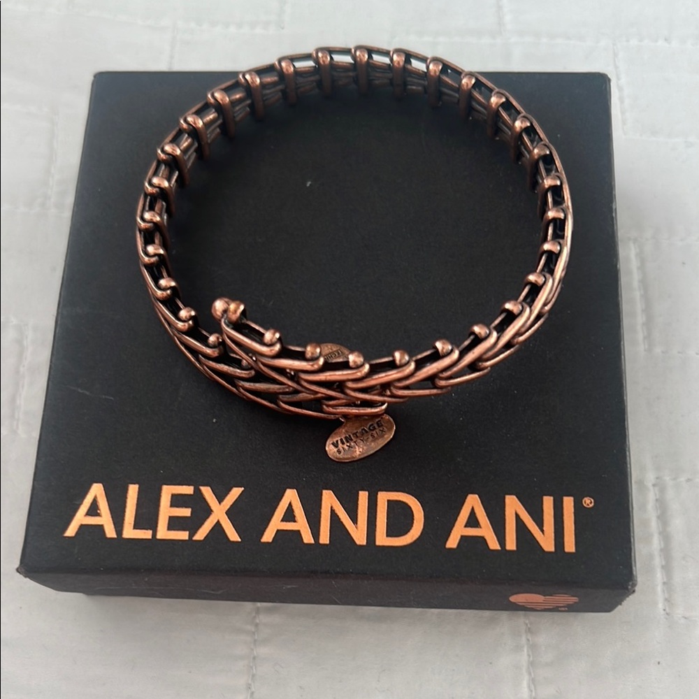 Alex and Ani Copper chain link Bracelet